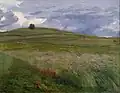 Bohuslav Dvořák V lukách