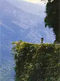 Stezka Yungas