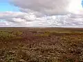 Fotografie, na níž je viděna tundra.
