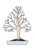 Styl koště