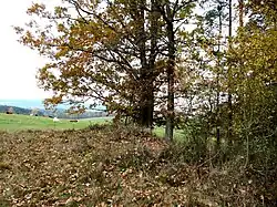 Boršov nad Vltavou, Jamné, tumulus (02).jpg