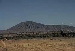 Bora-Bericcio