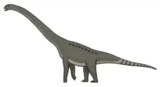 popis obrázku chybí