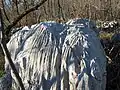 Škrapy v okolí Borgo Grotta Gigante