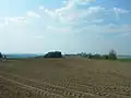 Pohled na Borovou