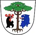 Znak obce Borovnice