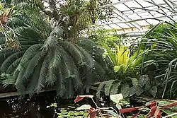 Botanická zahrada Košice