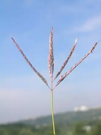 alternativní popis obrázku chybí