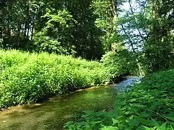 Přírodní park Botič-Milíčov v dolní části Křeslic