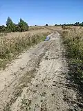 Polní cesta z kopce U kamenné boudy ke kopci Brána.