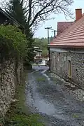 Cesta