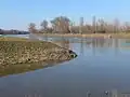 Tok Labe pod Ostrůvkem