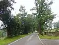 Alej u hřbitova