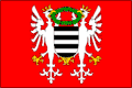 Vlajka města Březnice