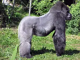 alternativní popis obrázku chybí