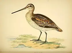 1855