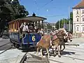 Historická tramvaj
