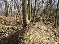 Pozůstatek jižní zdi