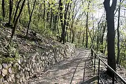 Cesta lesem