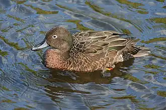 alternativní popis obrázku chybí