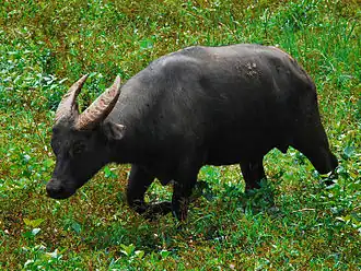 alternativní popis obrázku chybí