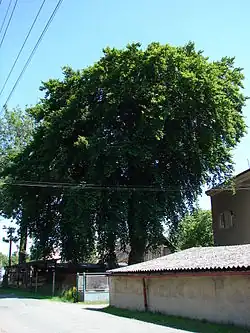 v červnu 2012