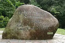 Kámen na vrcholu Bukit Timah