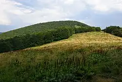 Čelo ze západu