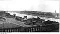 Rok 1955
