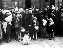 Selekce maďarských Židů v létě 1944