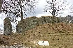 Jižní strana zříceniny
