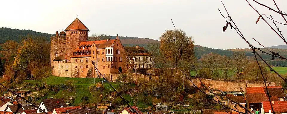 Hrad Rieneck