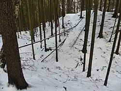 Burgstall Neuhaus Plesná 2019 xy1.jpg
