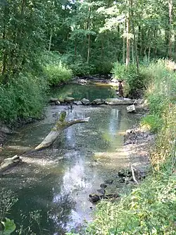 Burkštinas