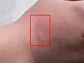 Stav po hodině