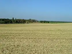 Bylany_u_KH_A._Archeologické_naleziště,_na_východ.jpg