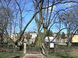 duben 2010