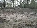 Písečný přesyp u Osečka