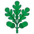 Eichberg – vlajka