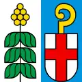 Mezzovico-Vira – vlajka