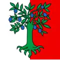 Premier – vlajka