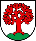 Schönenbuch
