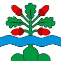 Schelten – vlajka
