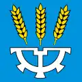 Uzwil – vlajka