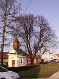 Lípa u kaple v Manerově