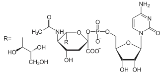 CMP-kyselina neuraminová (Sia)