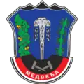 Medveđa – znak