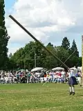 Vyhození klády