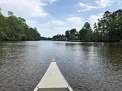 jezero Caddo