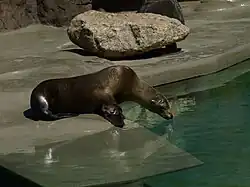 Zoo Opole
